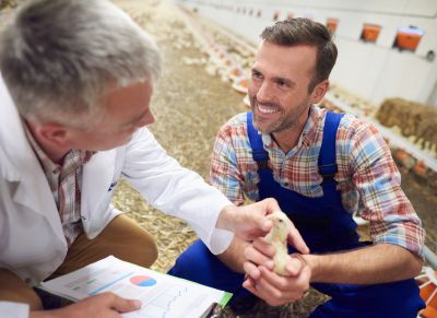 Partners van LedLighting B.V.